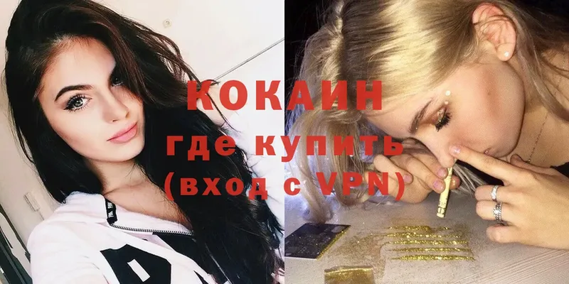 COCAIN Эквадор  где можно купить наркотик  Будённовск 